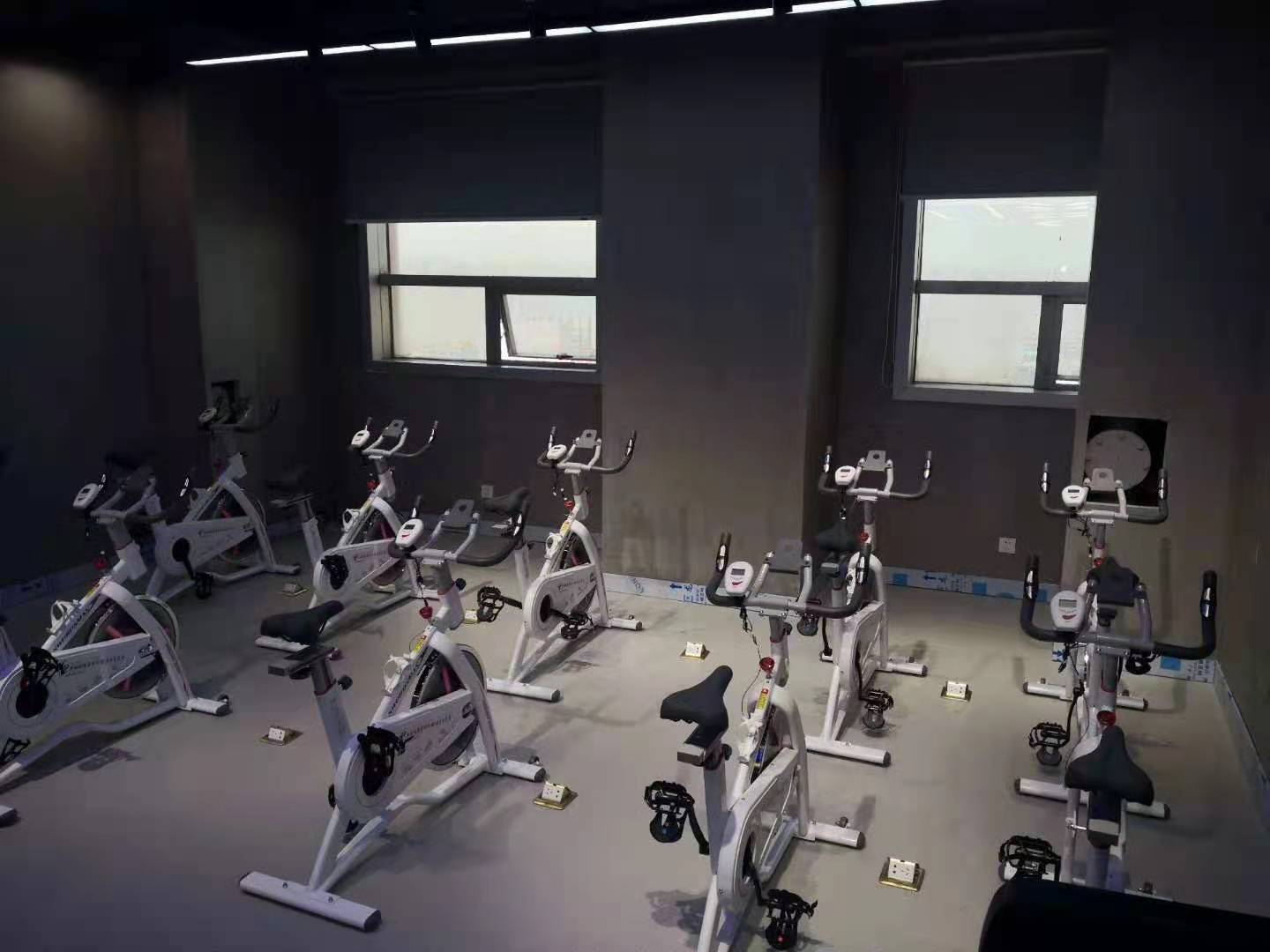 91视频软件网址